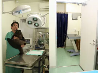 手術室とレントゲン室